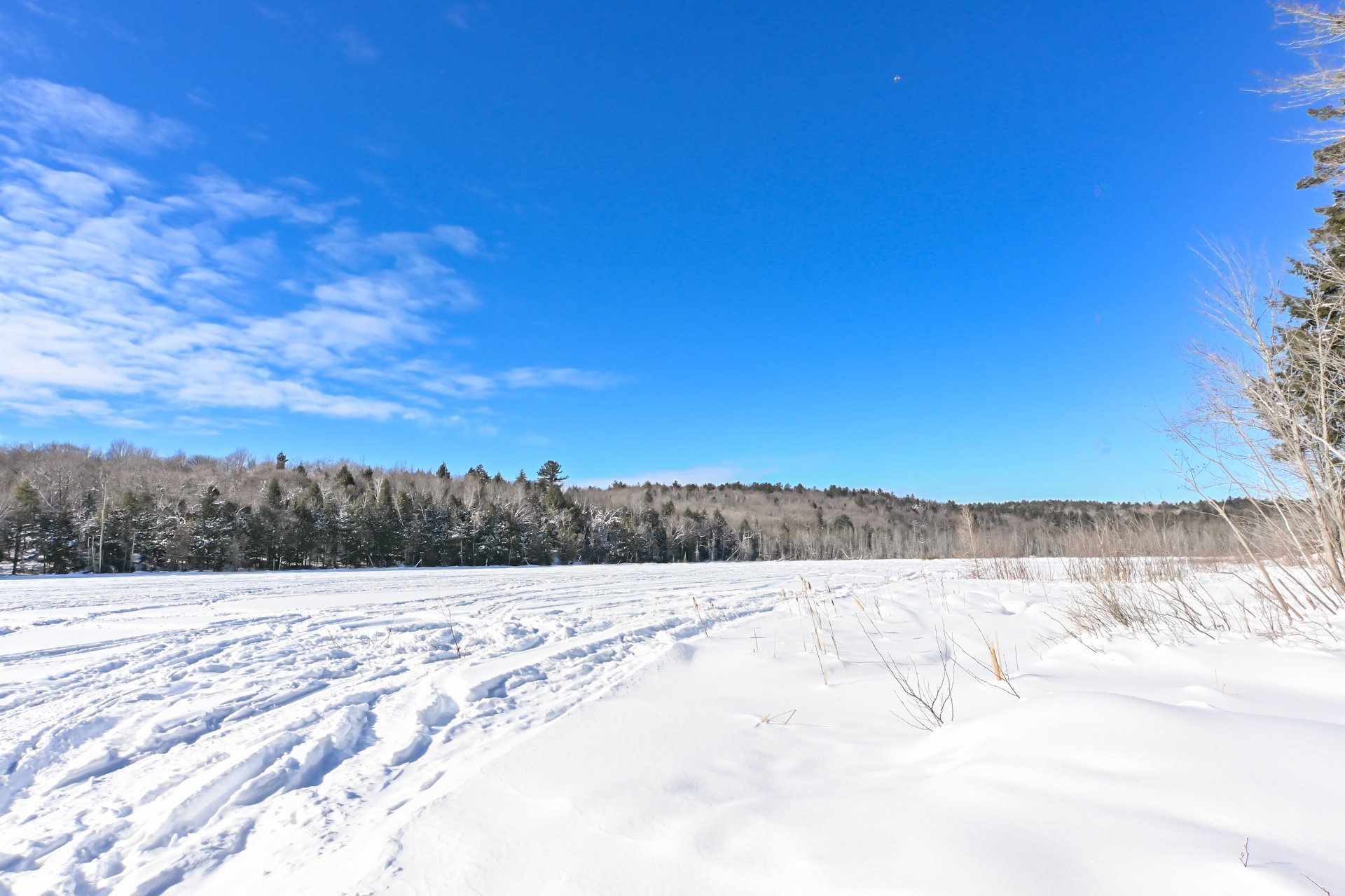 Accès au plan d'eau