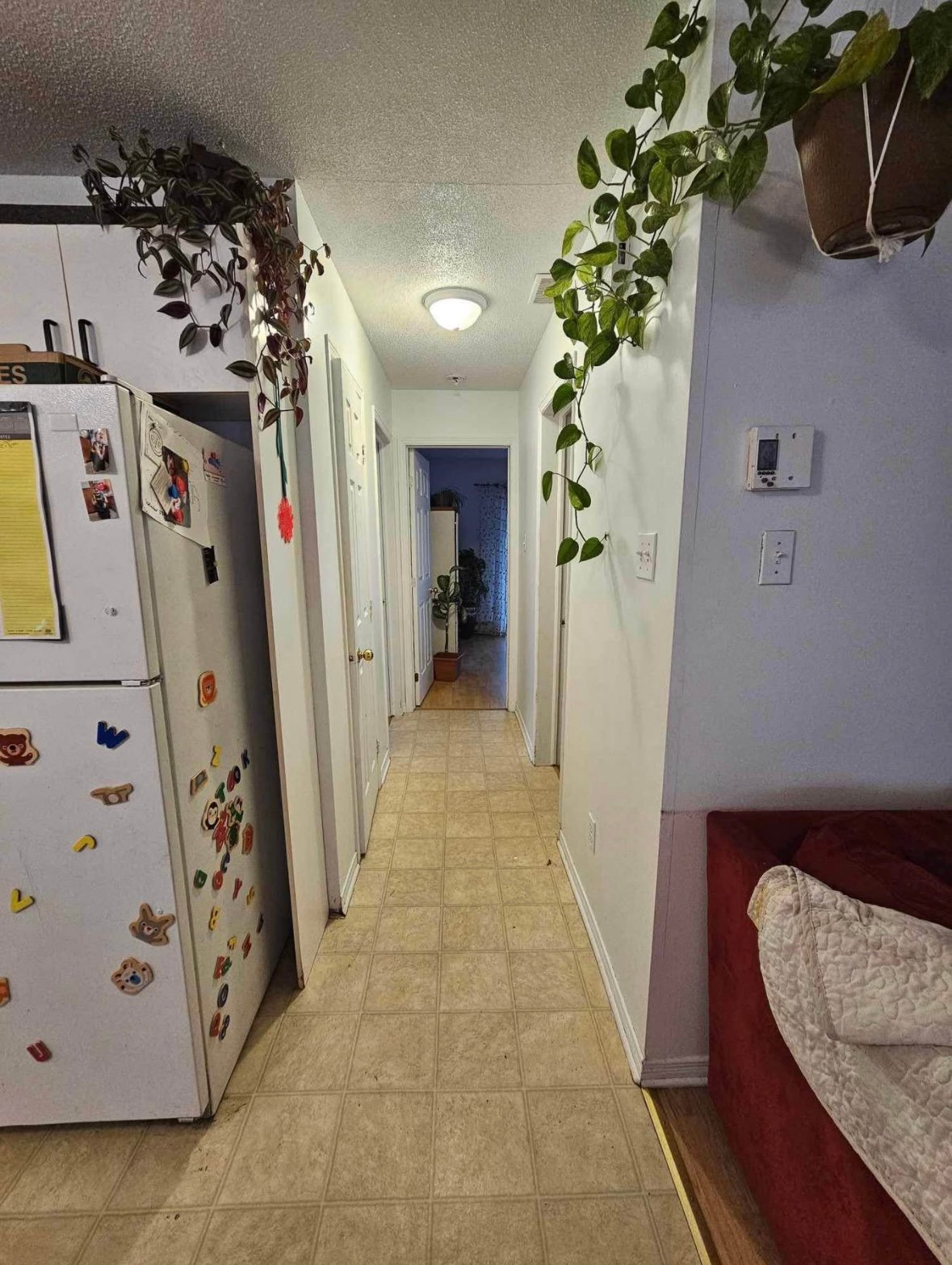 Corridor