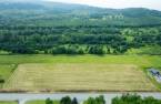 Terre/Terrain