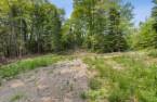 Terre/Terrain