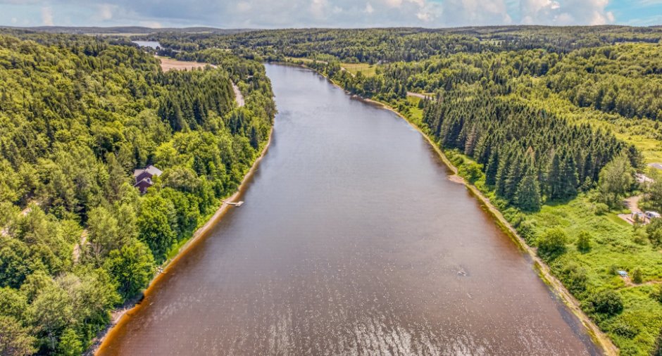 Vue sur l'eau