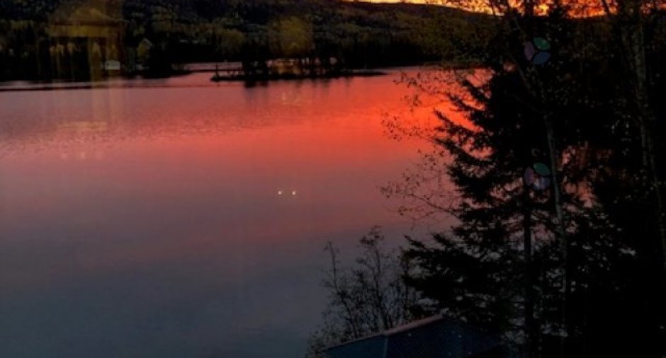 Vue sur l'eau