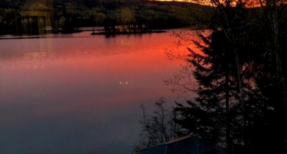 Vue sur l'eau