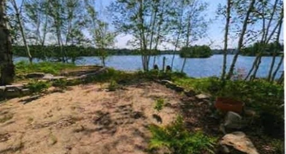 Terre/Terrain