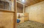 Stable
