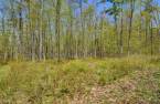 Terre/Terrain