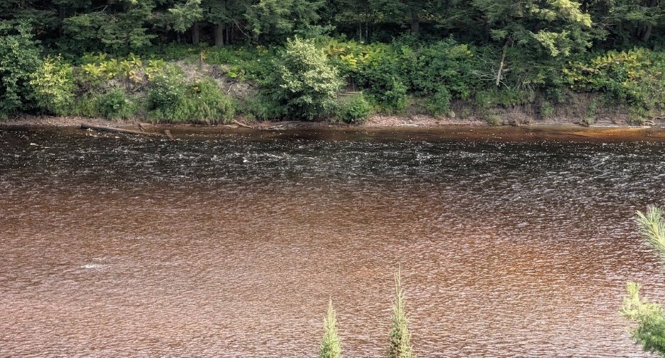 Bord de l'eau