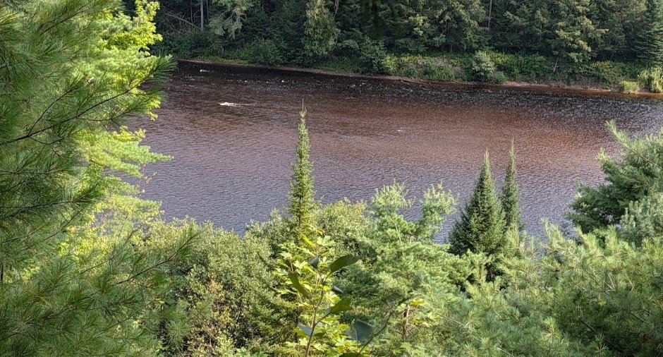 Bord de l'eau