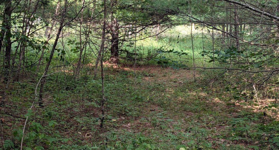 Terre/Terrain