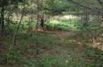 Terre/Terrain