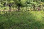 Terre/Terrain