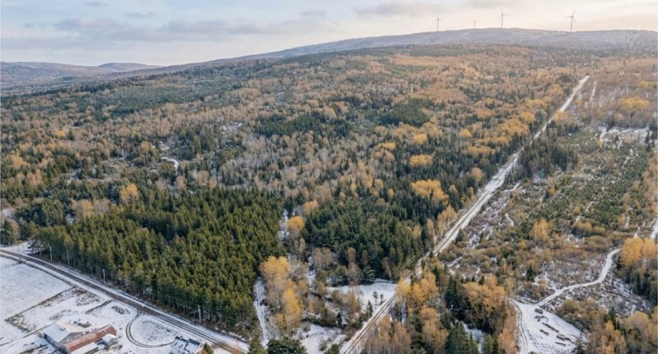 Vue d'ensemble