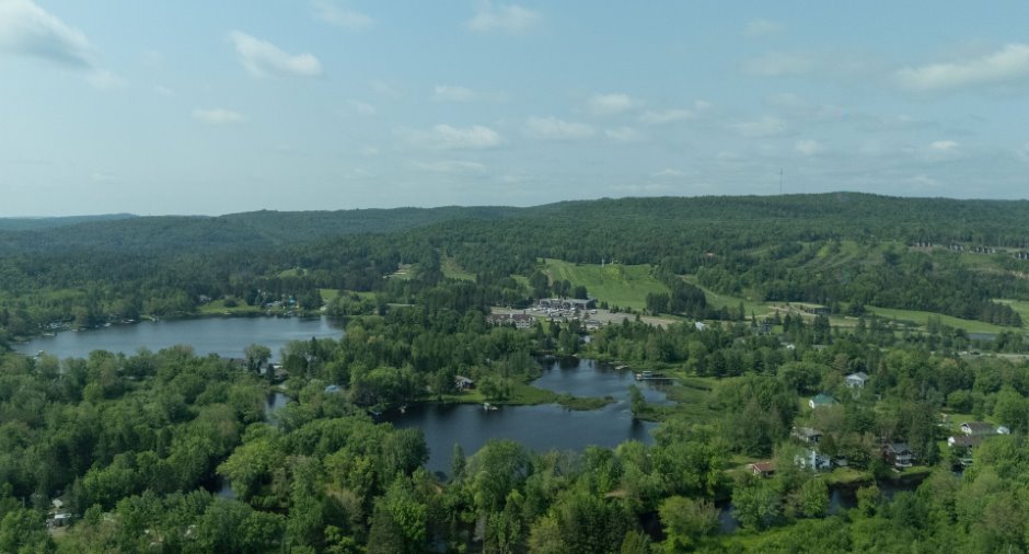 Overall View