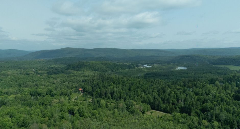 Overall View