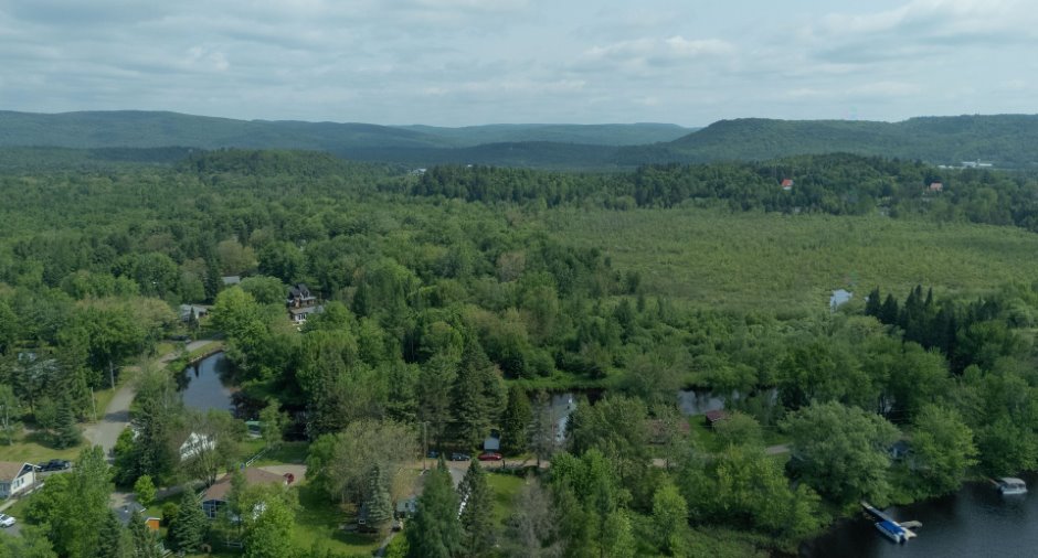 Overall View