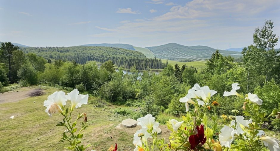 Vue d'ensemble