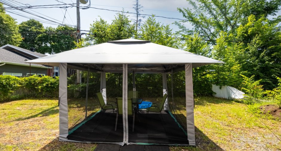 Cour