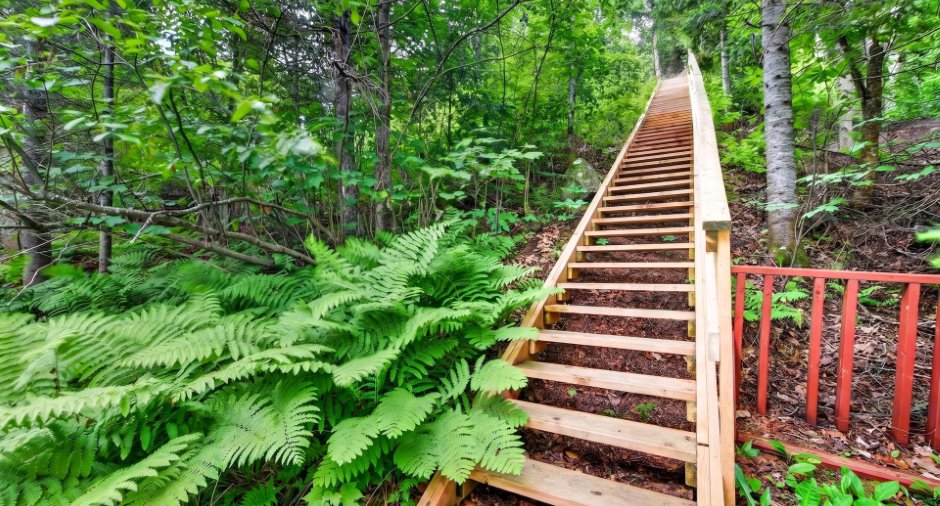 Escalier