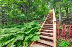 Escalier