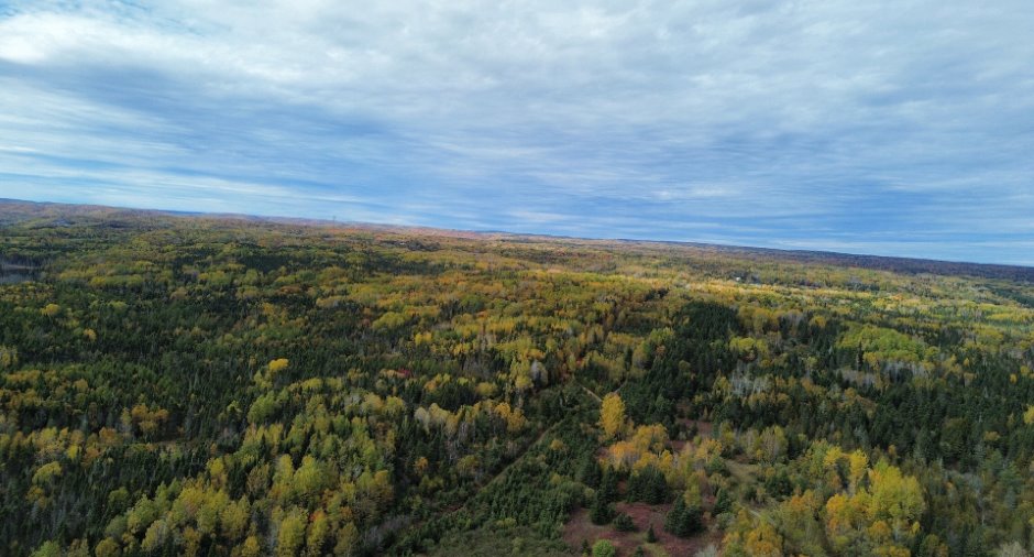 Terre/Terrain