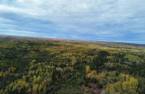 Terre/Terrain