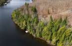 Vue