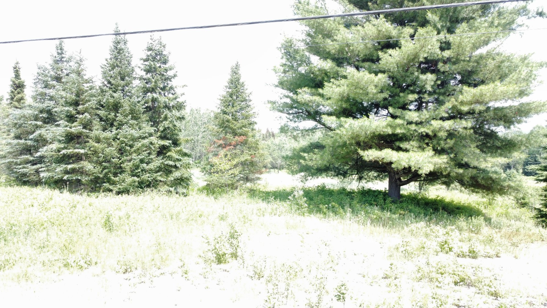 Ch. du Camping — photo 2