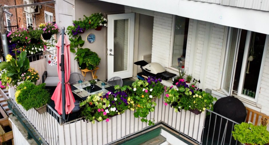 Terrasse