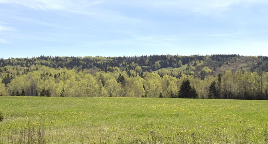 Vue