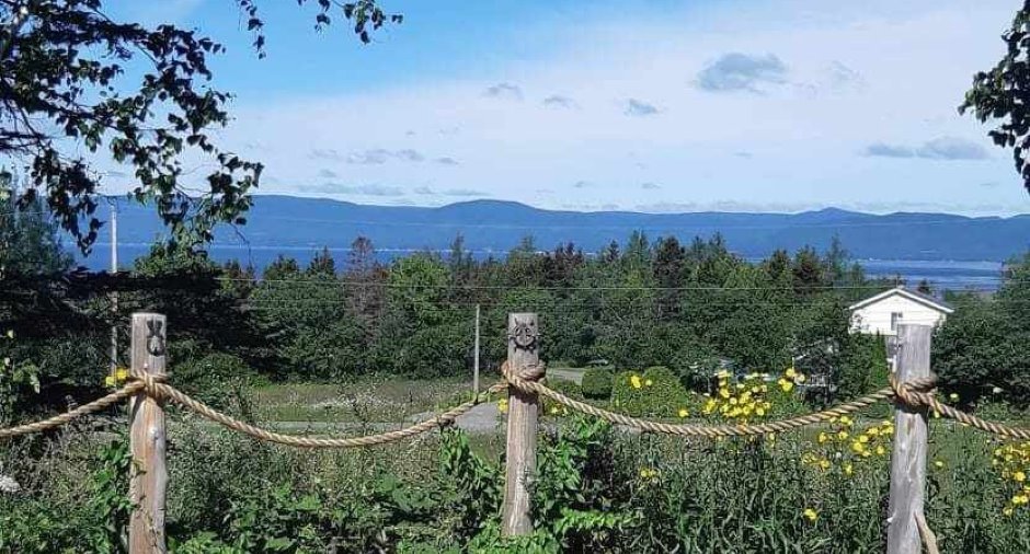 Vue