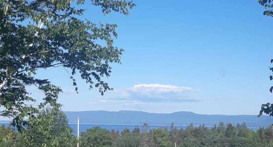 Vue