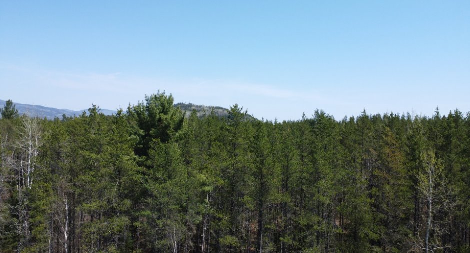 Vue