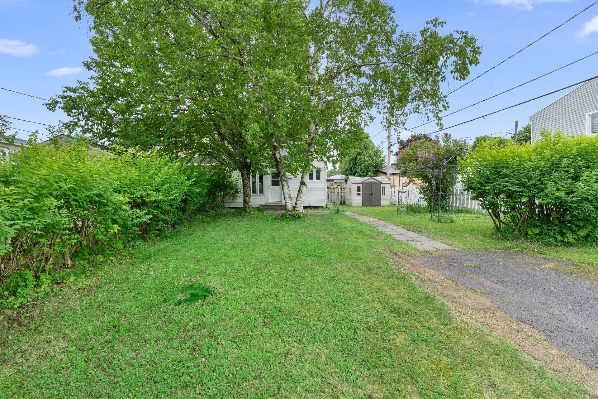 9247 Carré Richard — photo 3
