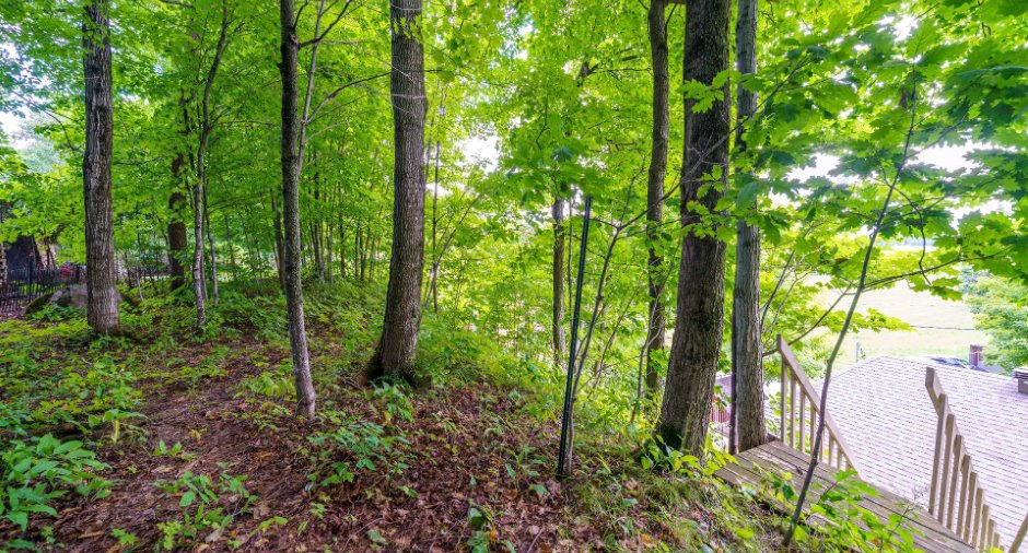 Land/Lot