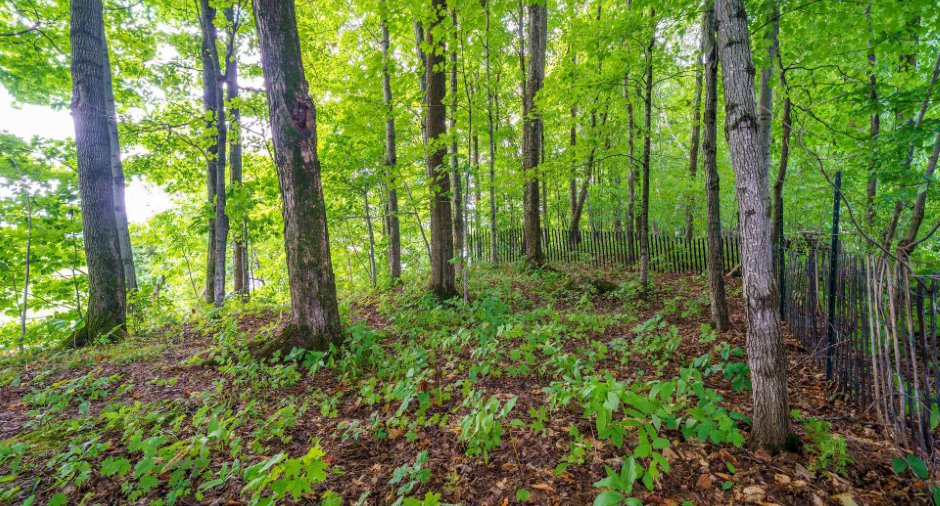 Land/Lot