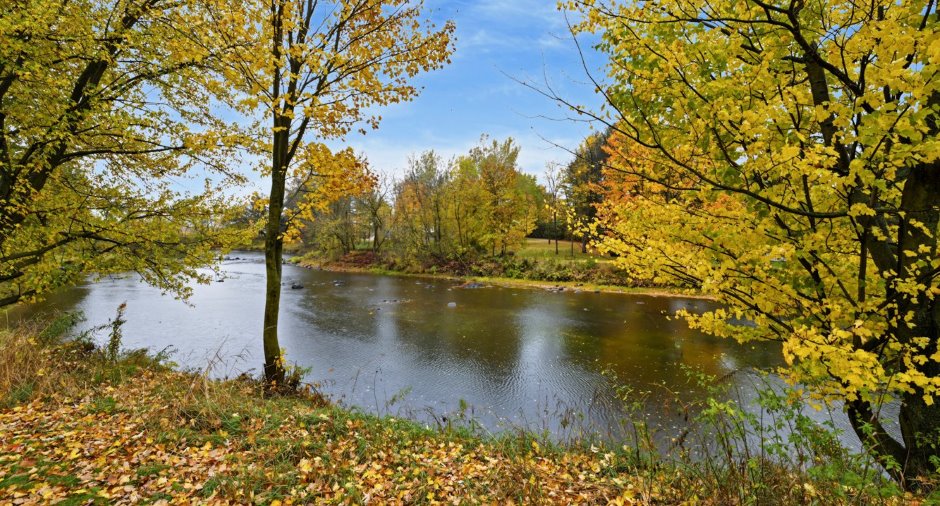 Vue sur l'eau