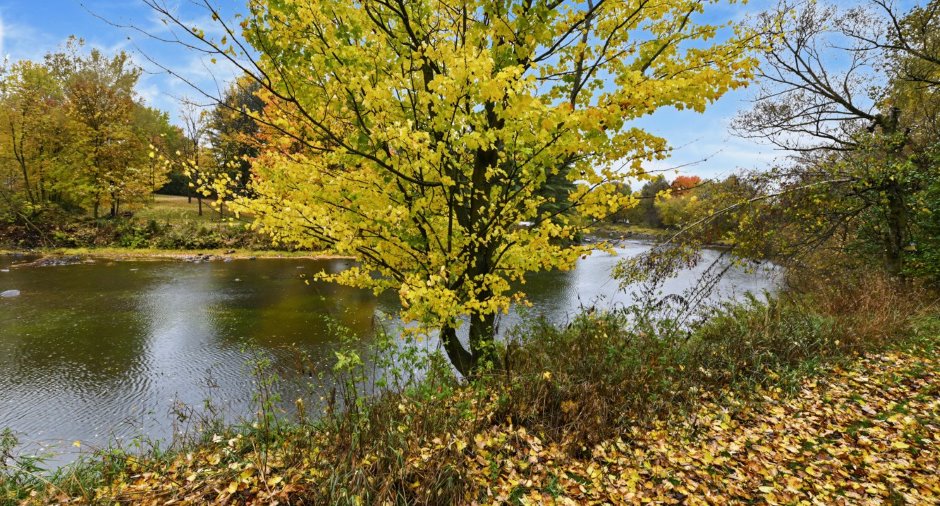 Vue sur l'eau