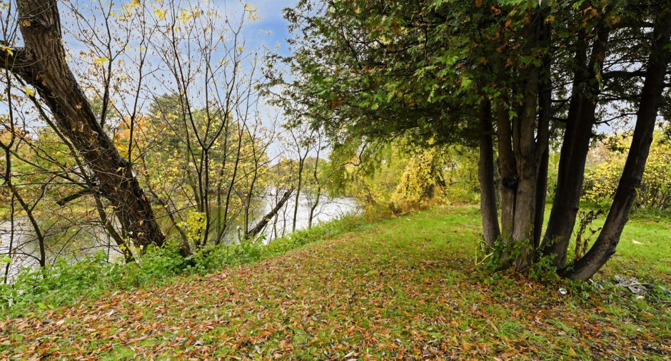 Vue sur l'eau