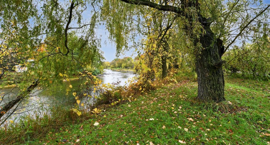 Vue sur l'eau