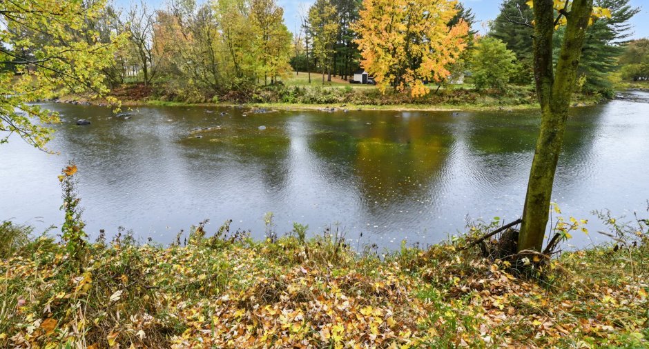 Vue sur l'eau