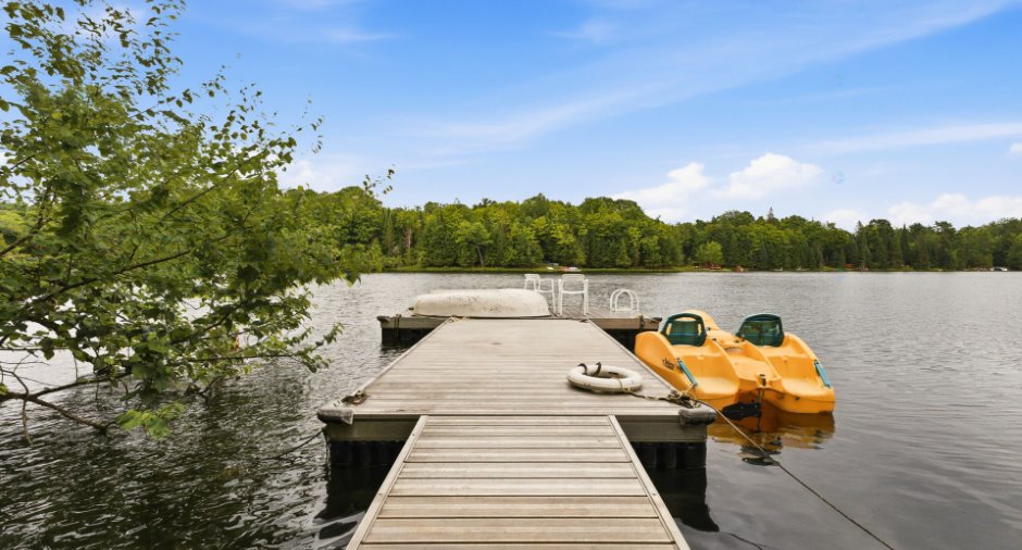 Bord de l'eau