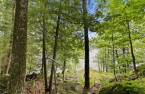 Terre/Terrain