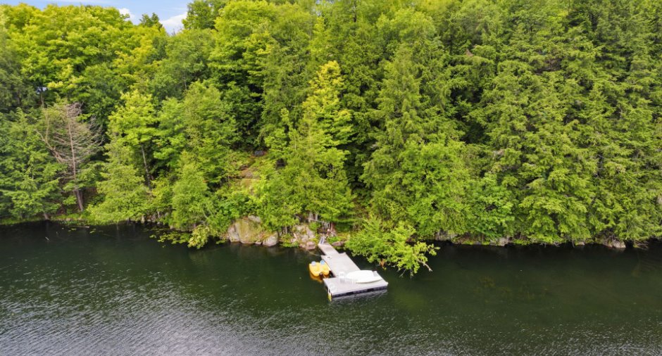 Bord de l'eau