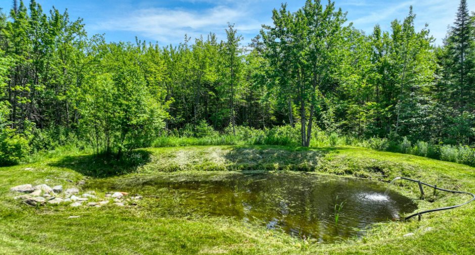 Accès au plan d'eau