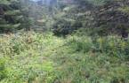 Terre/Terrain