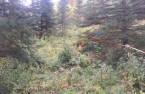 Terre/Terrain
