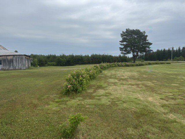 123 Route 309 S. — photo 3