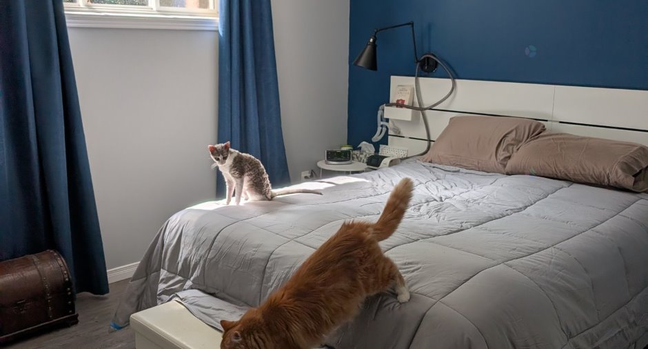 Chambre à coucher