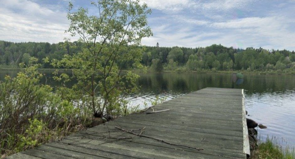 Vue sur l'eau