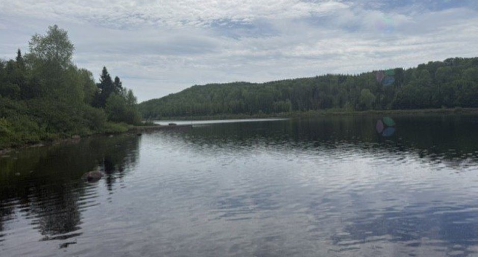 Vue sur l'eau
